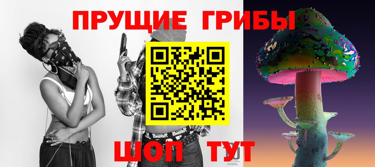 Псилоцибиновые грибы прущие грибы  Вход с VPN  Михайловск 